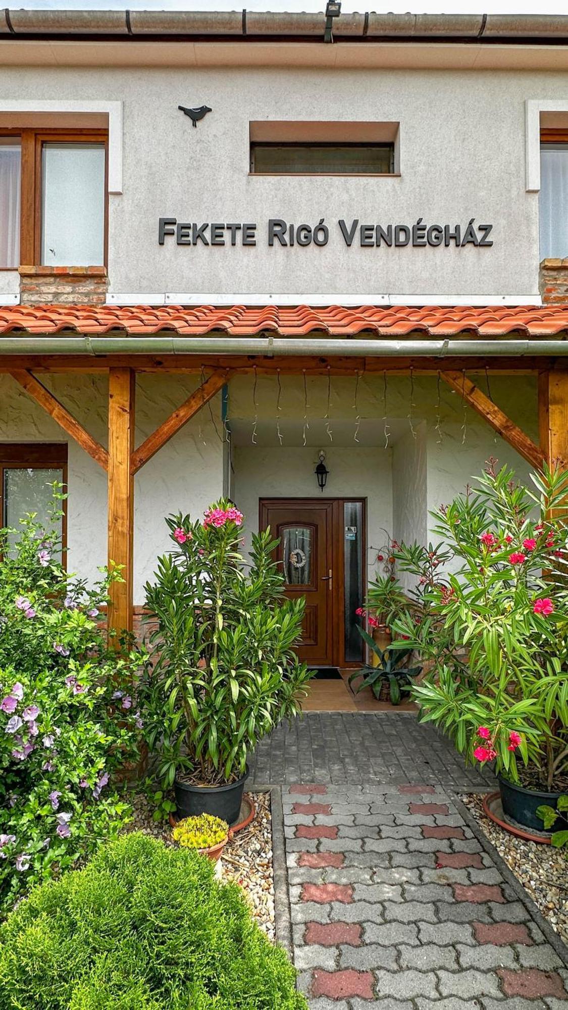 דירות אגרסאלוק Fekete Rigo Vendeghaz מראה חיצוני תמונה